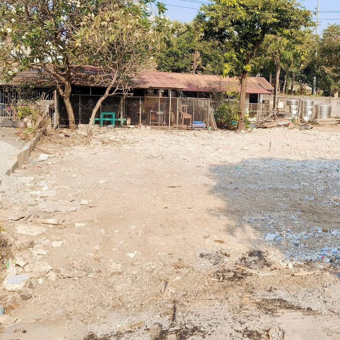 Site survey